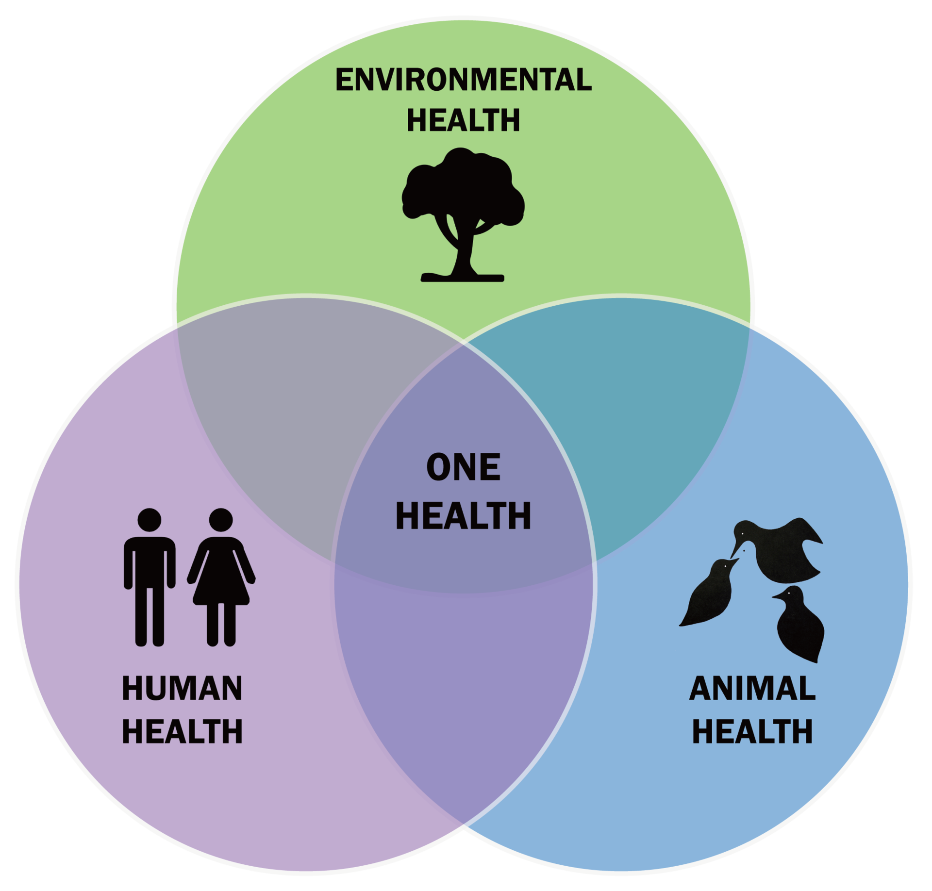 One Health Triad By Thddbfk - Own work, CC BY-SA 4.0