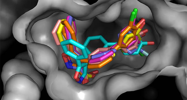 3D illustration of Mycobacterium tuberculosis.