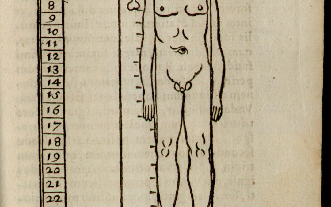 New Open Access Journal Article on Alchemy, the Body, and Medicine in the Material Renaissance by Umberto Veronesi and Stefan Hanß