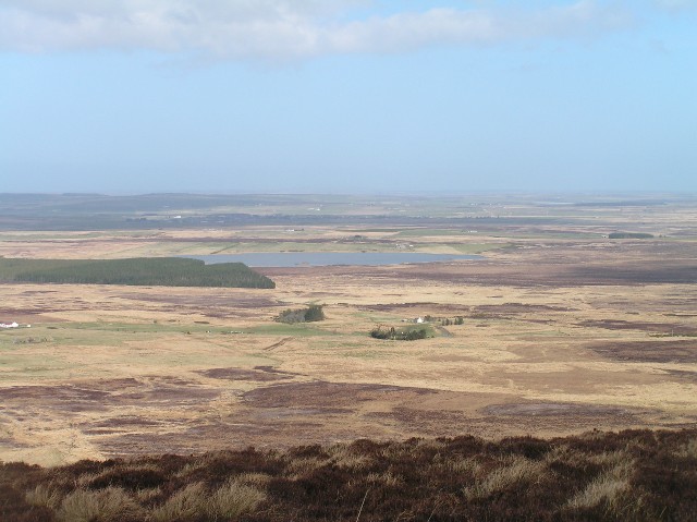 Affective Artefacts: Melanie Giles (Manchester) on Bog Bodies