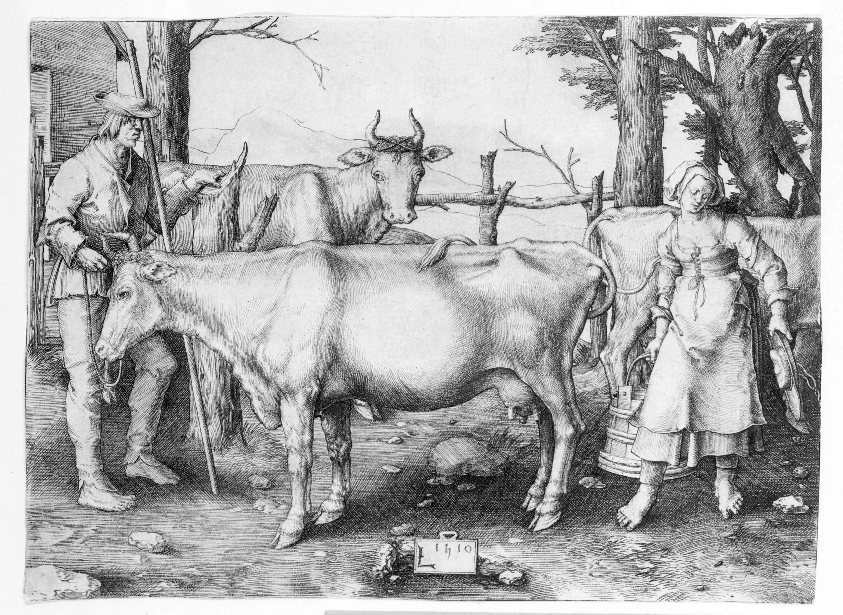 Milkmaid Milkmaid