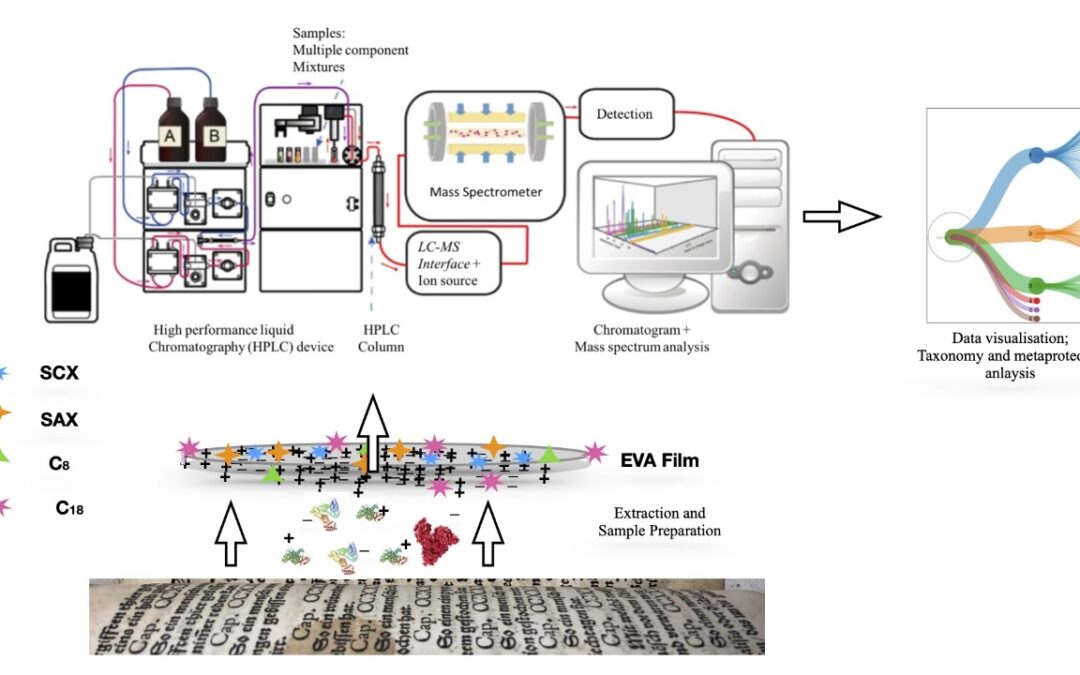Global News Echo of New Proteomics Research on Early Modern Medical and Cosmetic Recipes