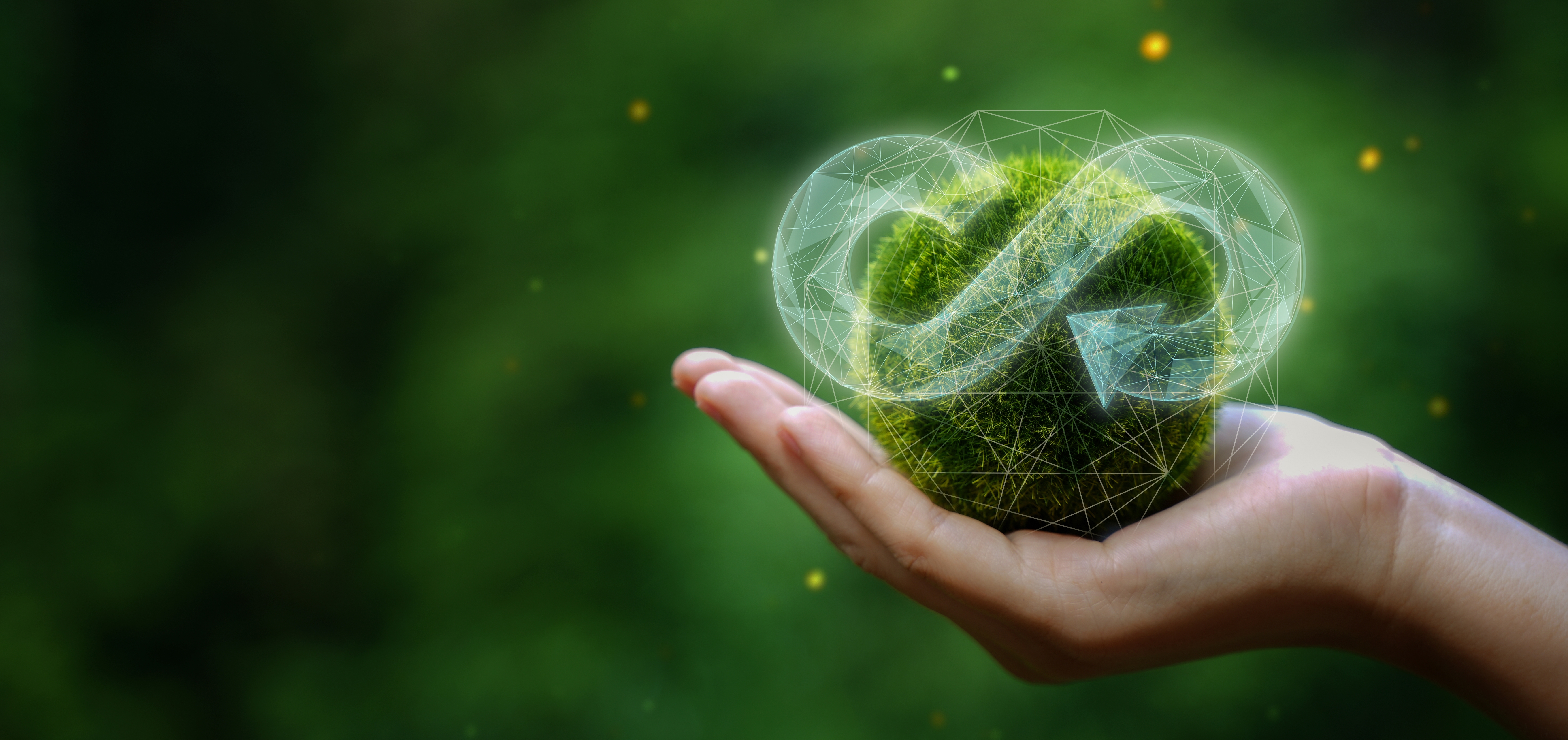 Environmental Sustainability