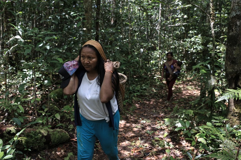 The photograph above shows the article’s author, Francineia Bitencourt Fontes Baniwa, walking through the forest.