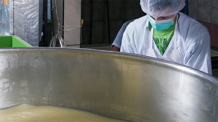Workers in a cheese production facility.