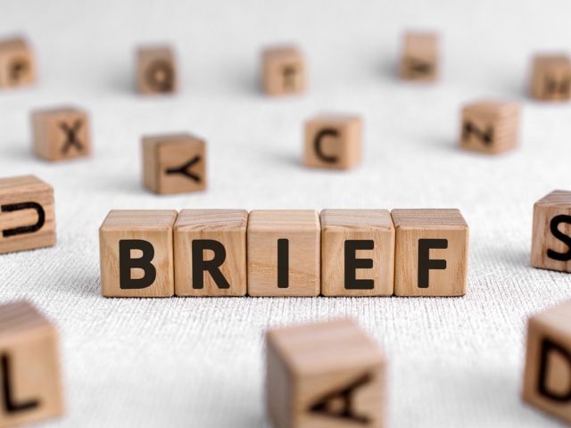 Building blocks that spell out the word 'brief'