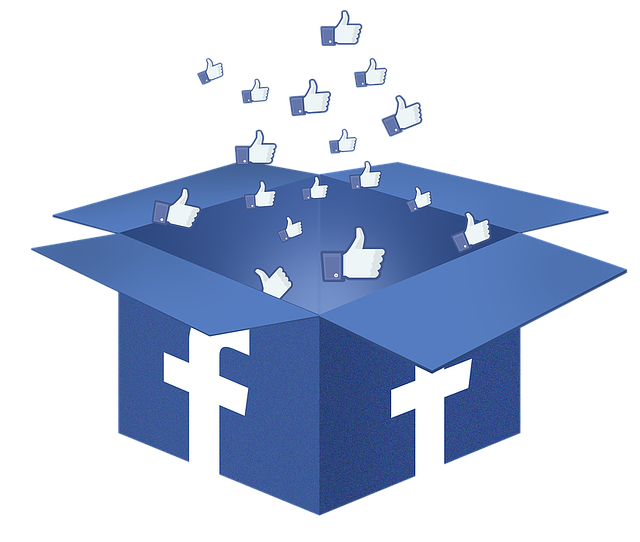 Partner publication alert 📢: Elections, Facebook, and citizen engagement