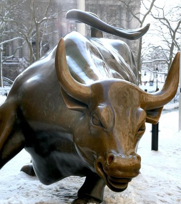 Taking the wall street bull by the horns
