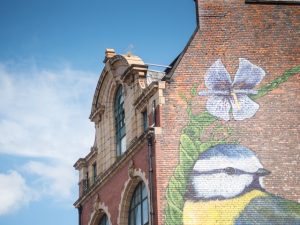 Mural of a butterfly and a blue tit on the side of an old building