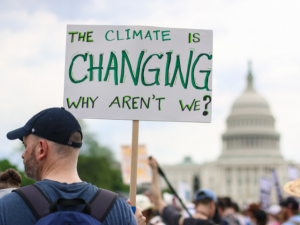 People at climate change protest holding signs