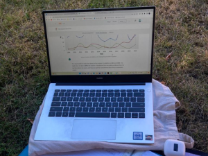 Laptop displaying graphs, student sitting on grass