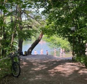 People swimming in Teufelssee Lake in Berlin surrounded by trees