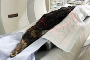 CT scanning a crocodile mummy.