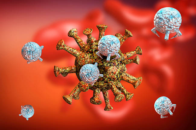 Representation of immune response to coronavirus.