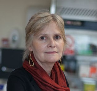 Professor Judi Allen