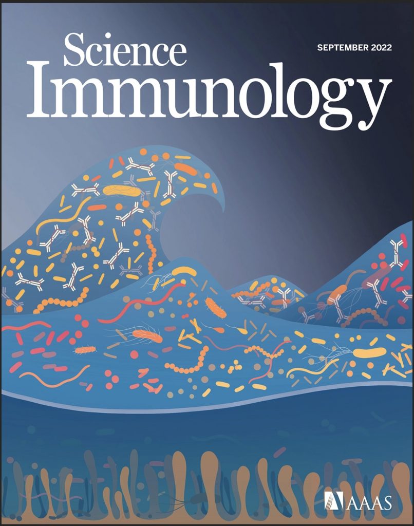 Science Immunology Journal Cover Image September 2022