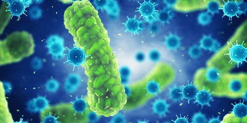 Pathogenic bacteria and viruses , Microscopic germs that cause infectious disease.