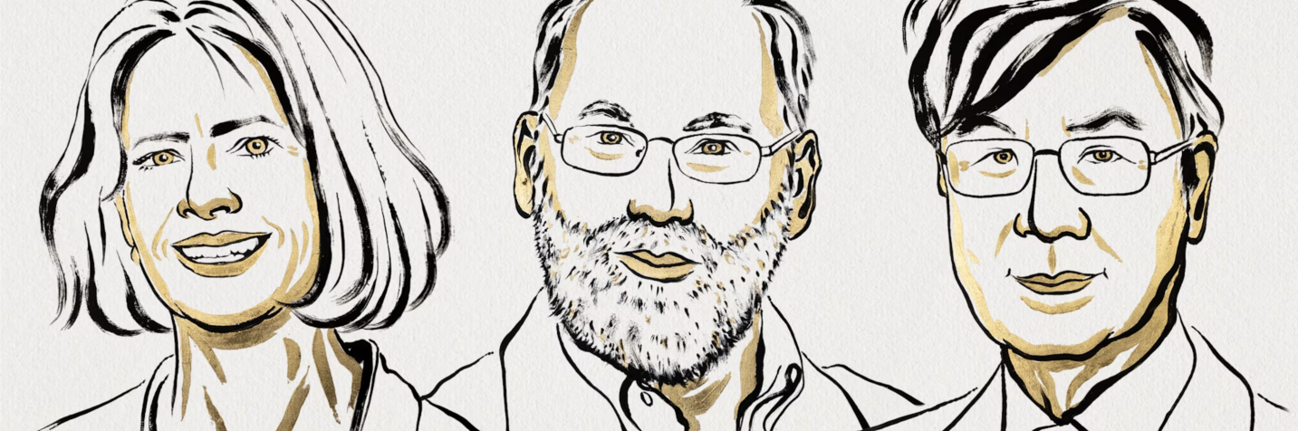 Nobel 2025 Immunology T-regs The Conversation Nobel prize awarded for discovery of immune system’s ‘security guards’ - The Conversation