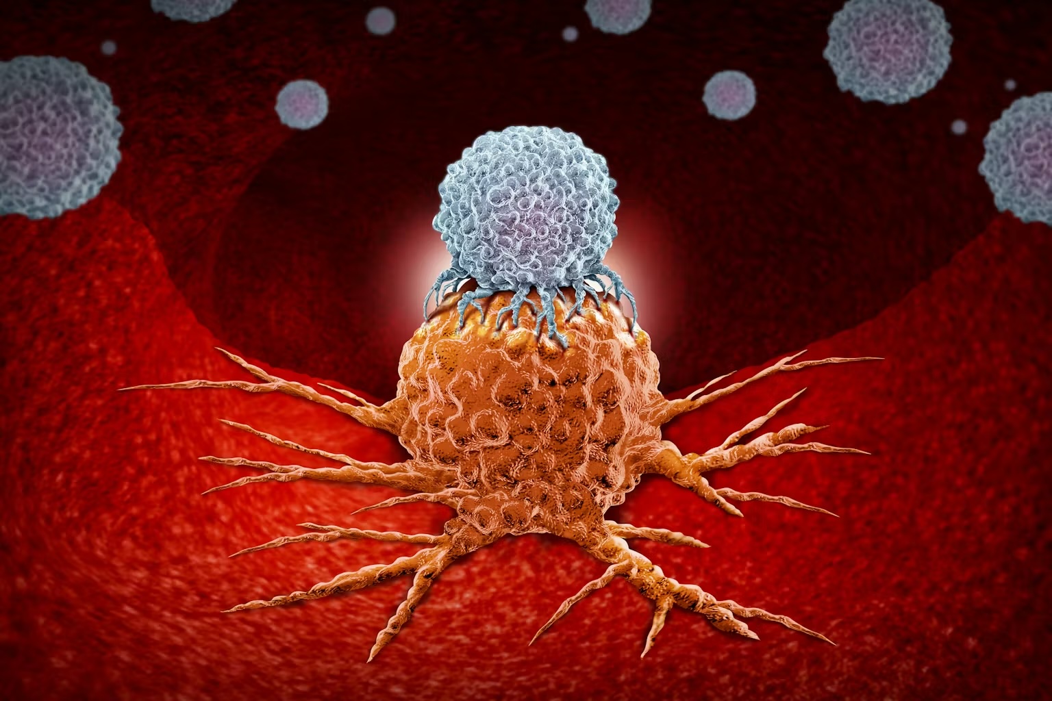 file-20260311-57-df7zmc T-cells, a type of immune cell, can be used to attack cancer cells