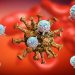 Can our immune system 'remember' the coronavirus? Scientists hope so.