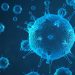 COVID lockdowns and the impact on our immune systems.
