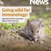 BSI Immunology News Eco-immunology cover story
