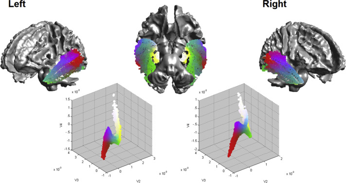 A structural connectivity convergence zone in the ventral and anterior temporal lobes: Data-driven evidence from structural imaging