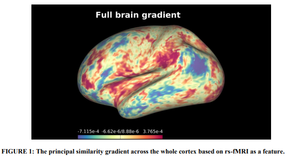 A tutorial and tool for exploring feature similarity gradients with MRI data