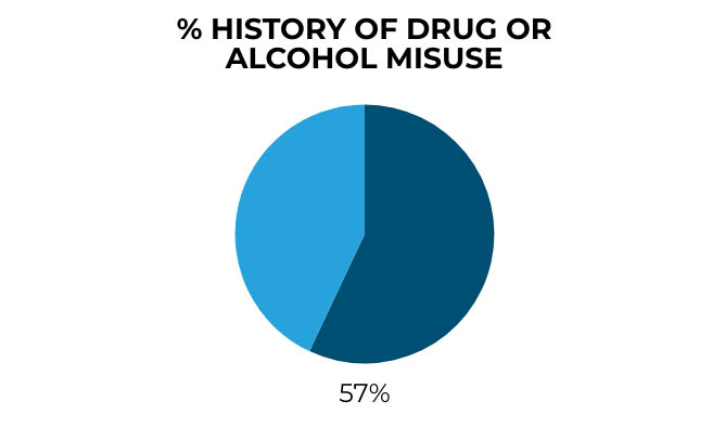 A pie chart showing the percentage of the history of drug or alcohol misuse