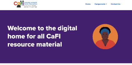 CaFI Digital workshops