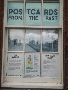 Platt Hall window display of The Avenue pathway