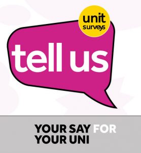 Unit survey logo