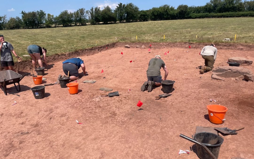 Dorstone 2026: My First Fieldwork Experience